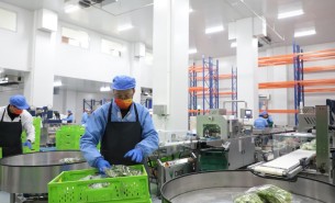 蔬菜配重機(jī)：解決人工成本與效率問(wèn)題，助力蔬菜加工發(fā)展