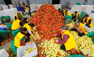 自動化分揀稱重設(shè)備：助力生鮮、凍貨及食品加工行業(yè)突破瓶頸